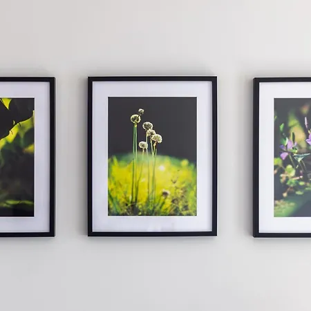 Victus Apartamenty, Antonina * Sopot