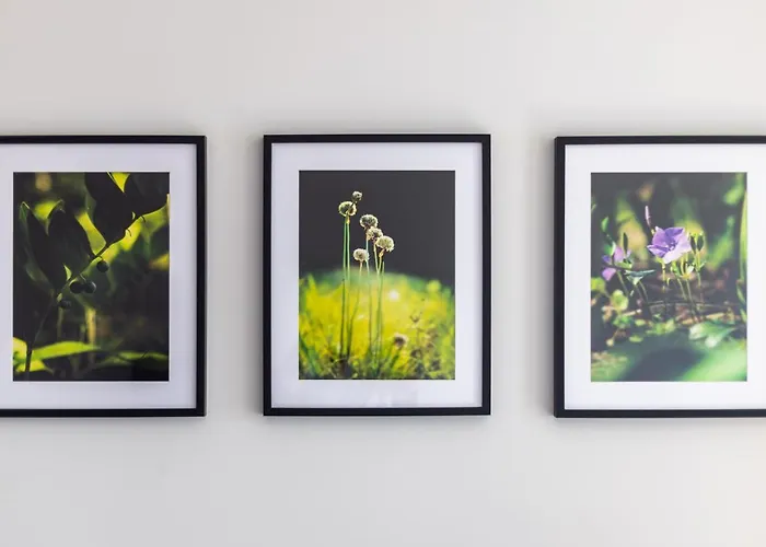 Victus Apartamenty, Antonina * Sopot